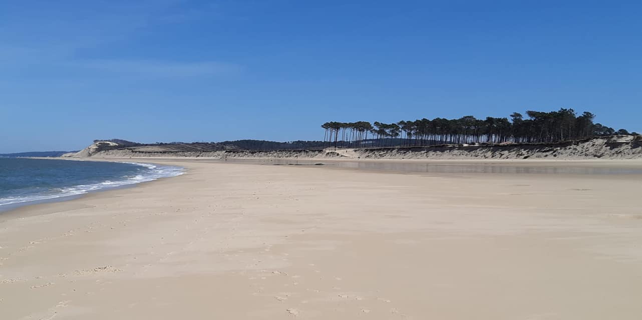 Paysages Landes - Moliets