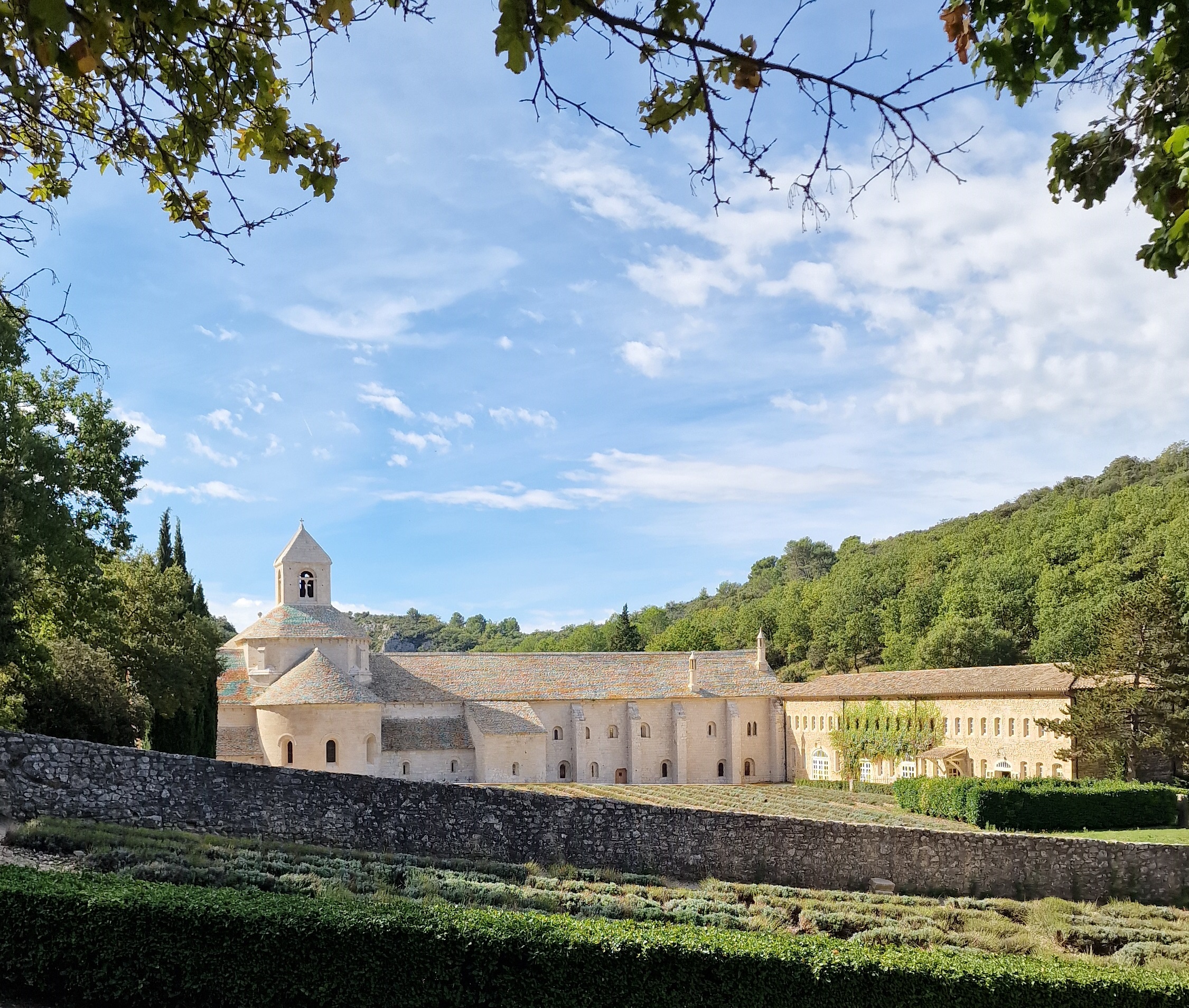 Abbaye Senanque - Provence