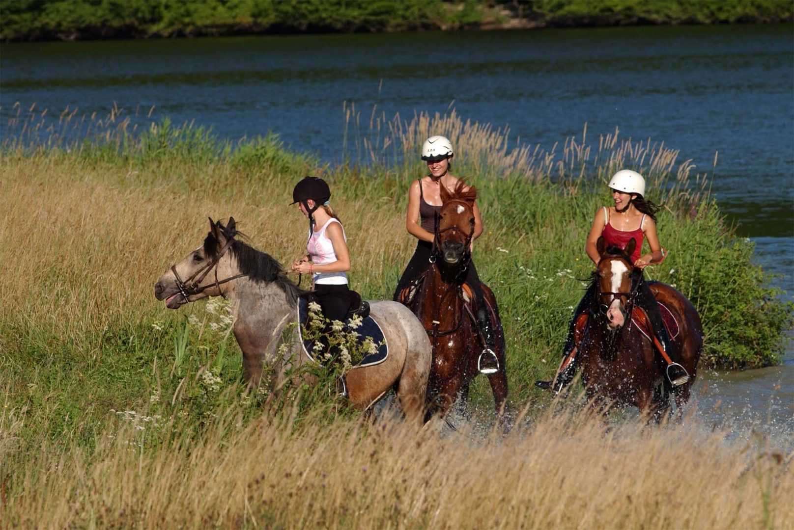 Balade à cheval dans la nature de Valjoly