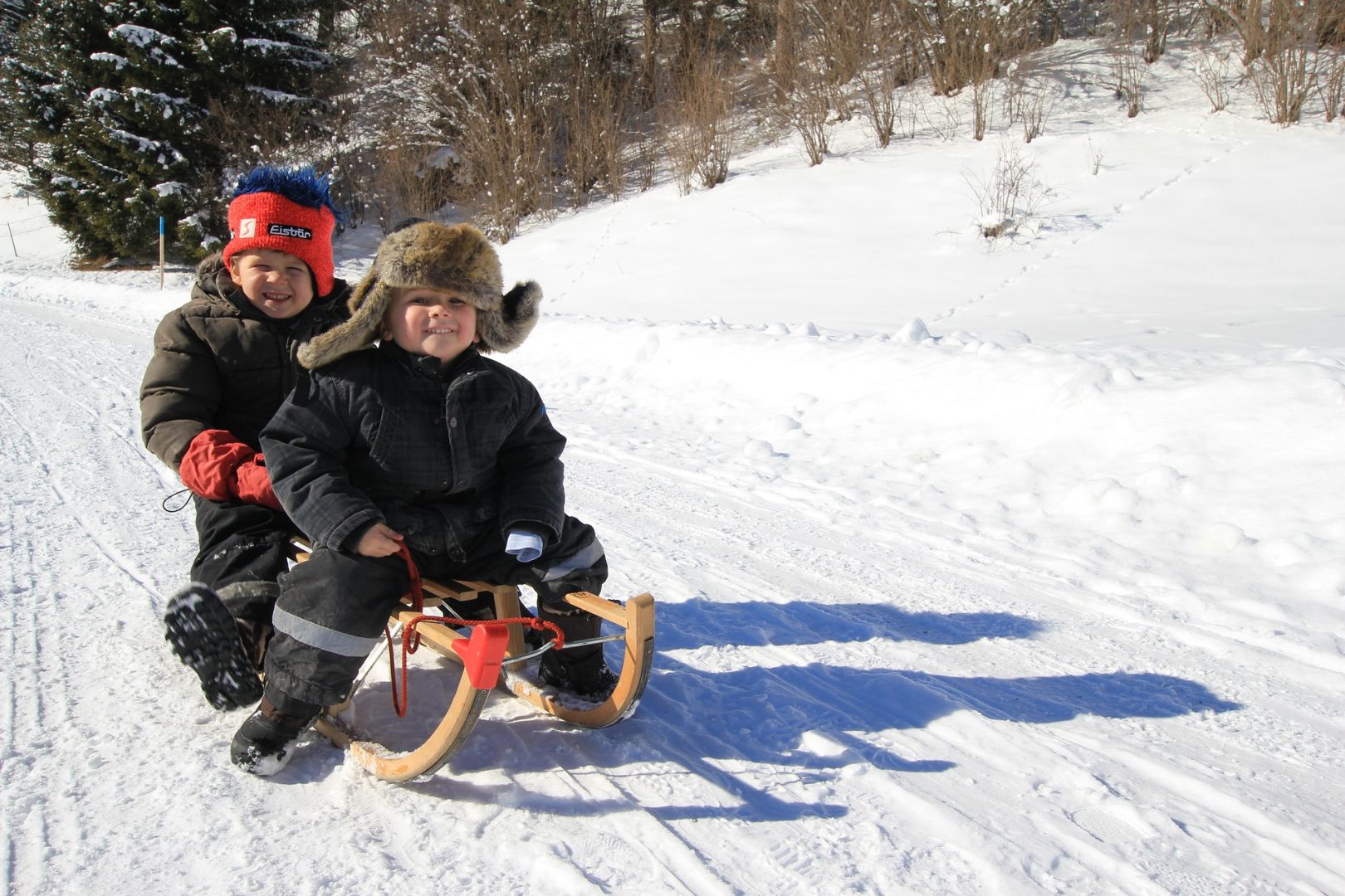 Luge en famille - Top 2 des activités d'hiver