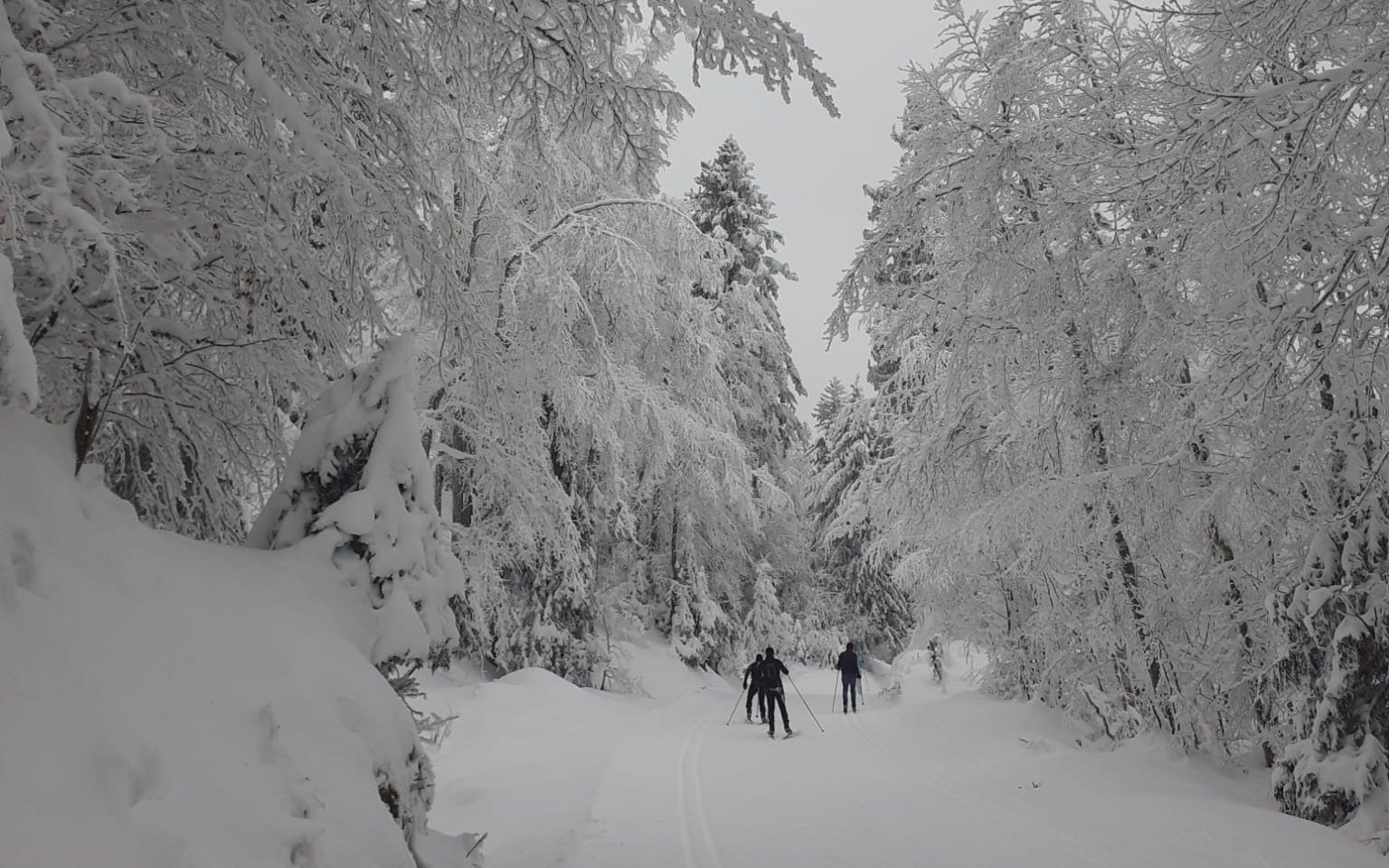 Paysage enneigé - ski nordique